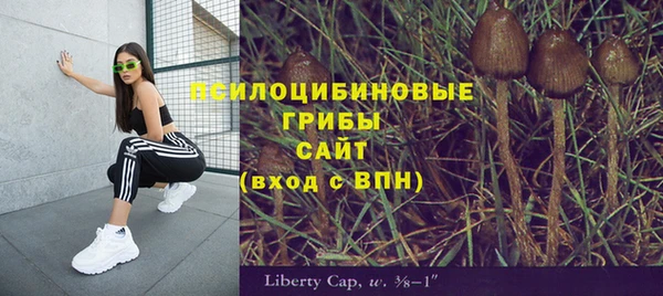 скорость Михайлов
